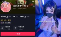 阿尔卑香小狗子—微密图片视频合集【持续更新】