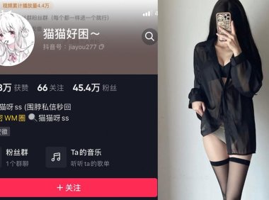 猫猫好困—微密图片视频合集【持续更新】