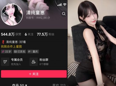 童锣烧/清纯童崽—微密图片视频合集【持续更新】