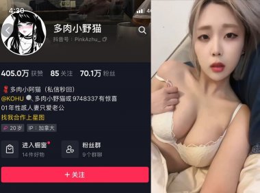 多肉小野猫/烧肉小野猫—微密图片视频合集【持续更新】