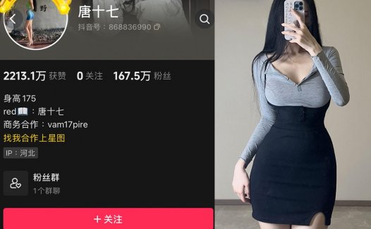 唐十七—微密图片视频合集【持续更新】