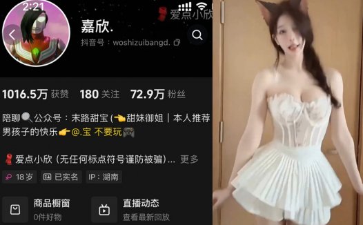 嘉欣/爱点小欣—岛遇微密视频图片合集【持续更新】