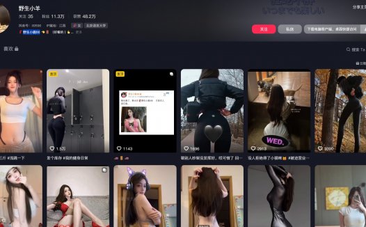 野生小羊/野生小鹿66—铁粉空间视频图片合集【持续更新】