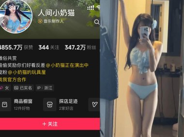 人间小奶猫—岛遇图片视频合集【持续更新】