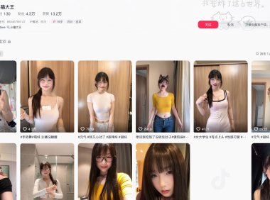 小猫大王—岛遇app图片合集【持续更新】
